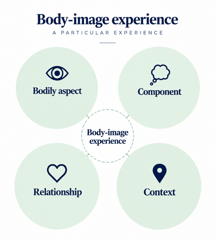 Diagram showing a body-image experience as four connected dimensions: bodily aspect, component, relationship, and context.